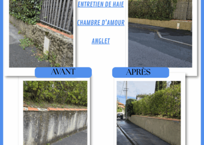 Entretien et désherbage muret, Anglet